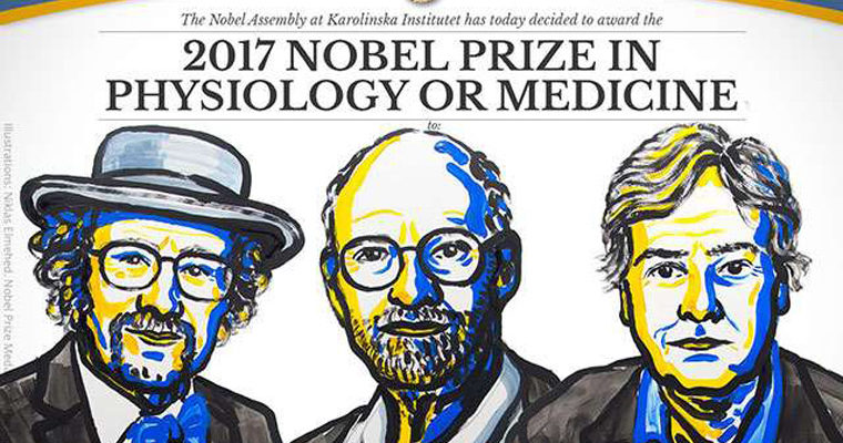 The Nobel Laureates in Medicine 2017