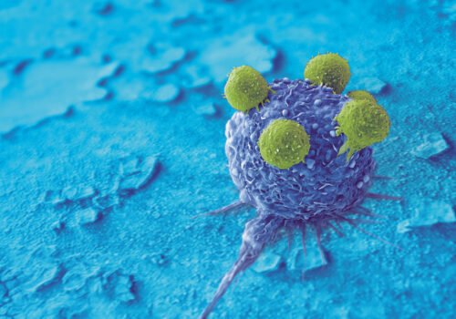 T-lymphocytes-cancer-cell