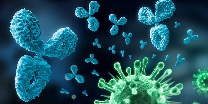 Virus and antibodies