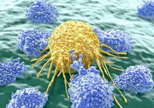 NK cells cancer