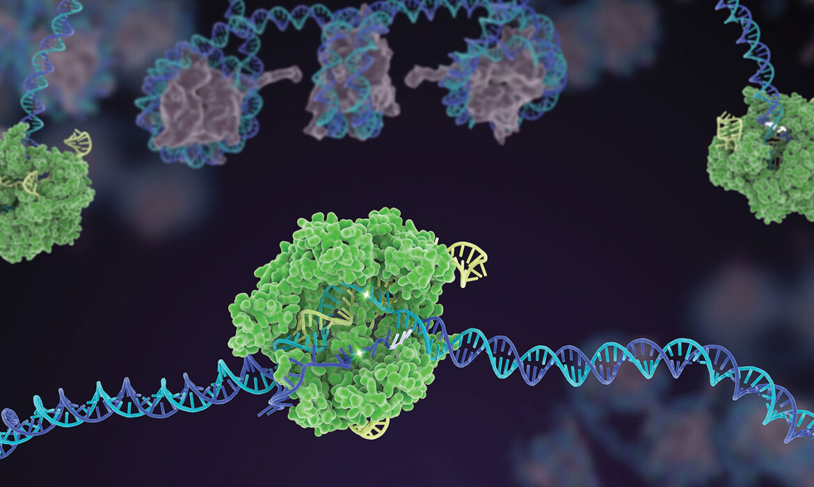 CRISPR/Cas9 – Rewriting the code of life