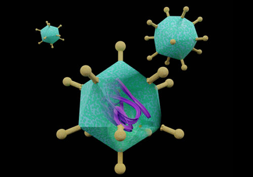 oncolytic adenovirus
