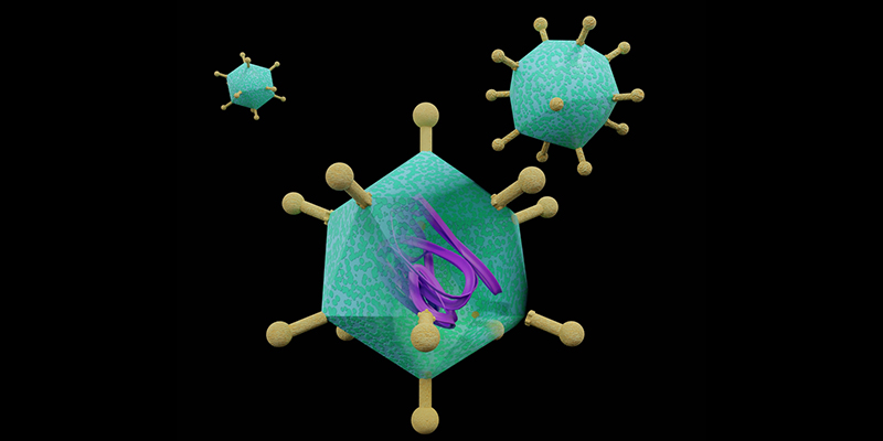 oncolytic adenovirus