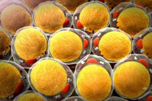 Finnish study provides insight about gene regulation in obesity