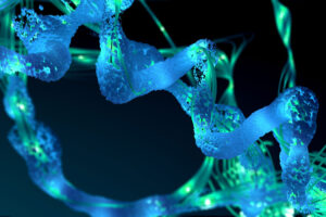 New Danish centre to spearhead developments in protein design