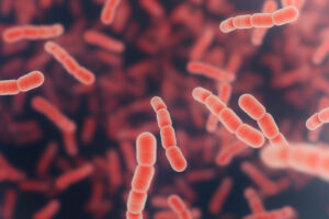 Swedish researchers have restored antibiotic effect in the event of resistance